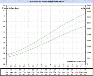 Fundal Height Chart Nhs